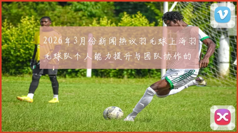 2026年3月份新闻热议羽毛球上海羽毛球队个人能力提升与团队协作的深度变革探讨