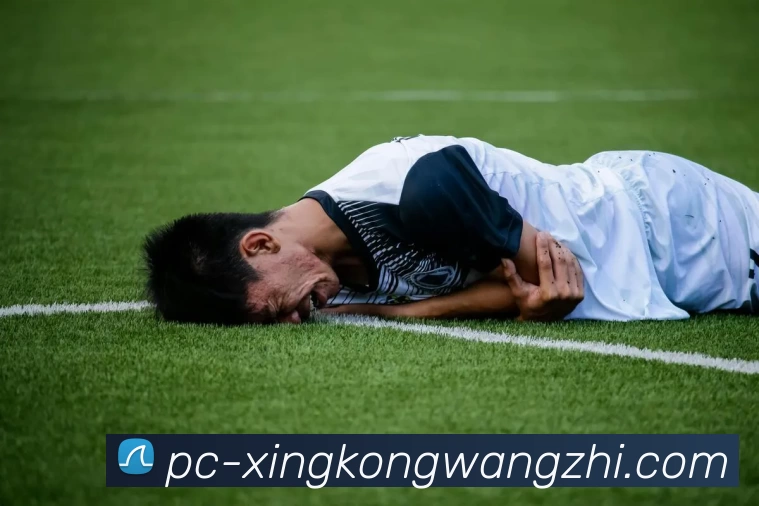 奖项证书